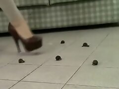 Snail crush with very high heels.