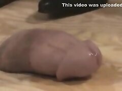 Dude Has His Dick Through A Cock Board And She Spikes It In