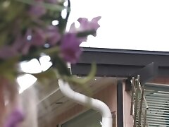 Блондинки, Хардкор, Мамки в соку, Публичный секс, Молоденькие Midsommer festen outdoor fuck