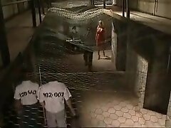 L'avvocata Del Diavolo