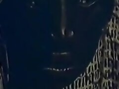 Волосатые киски, Межрасовый, Свингеры, Ретро порно Wara hottentotten tittenattantat