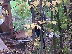 Скрытая камера, Подглядывание lot of girls pissing outdoor