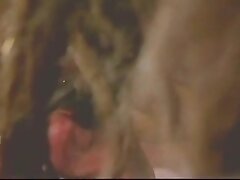 Vintage Interracial - Anal Rampage