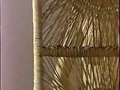 Hardcore Danish Porn two