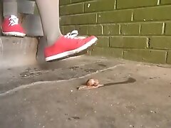 Женские ноги, Фетишисты Pretty girl wearing grey stockings and pink canvas shoes crush snails