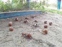 Блондинки, Брюнетки, Женские ноги, Фетишисты, Мамки в соку, Русское порно, Большие сиськи It's Fair Play In A Threeway With Vanilla Deville, Nikita Von James, Mr. Pete - Brazzers