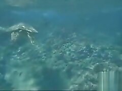 Брюнетки, Фетишисты, Оргазм пальцами, Соски Brittany Shae Is Horny For You The Whole Time In Hawaii