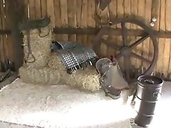 Бразильское порно, Большие сиськи Brazillian milf fucked hard